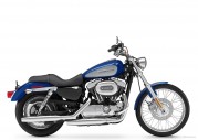 Harley-Davidson XL 1200 C Sportster